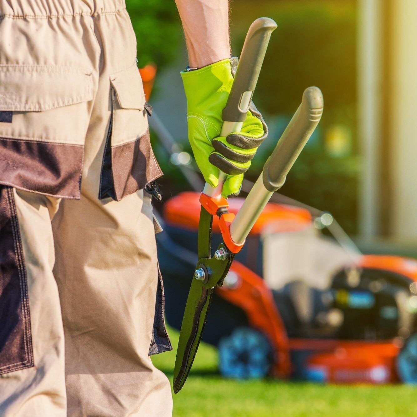Landscaping-Professional Landscaping-Professional